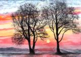 51 - Mary Vivian - Winter Trees - Watercolour.jpg